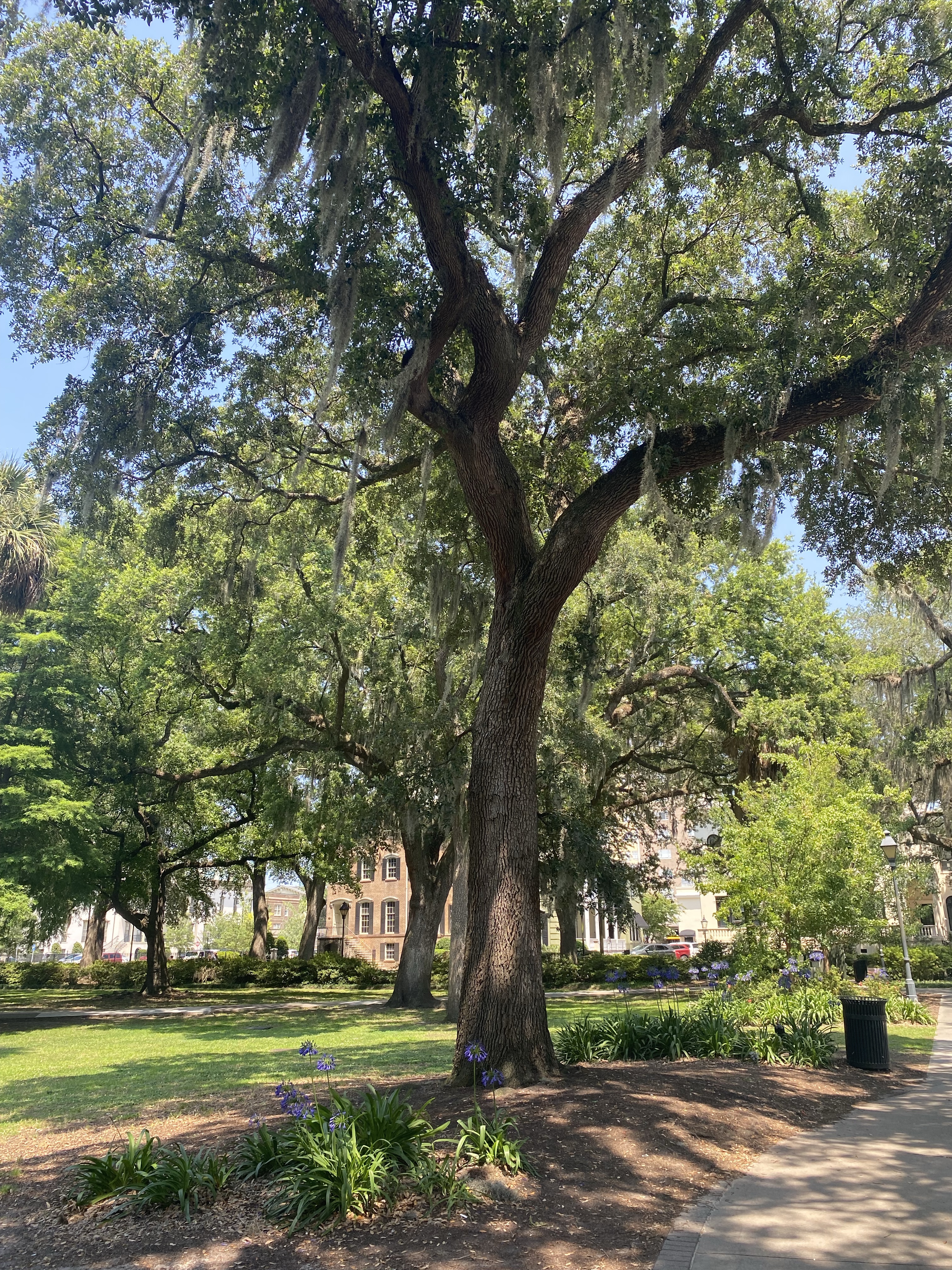 Forsyth Park Savannah, Georgia