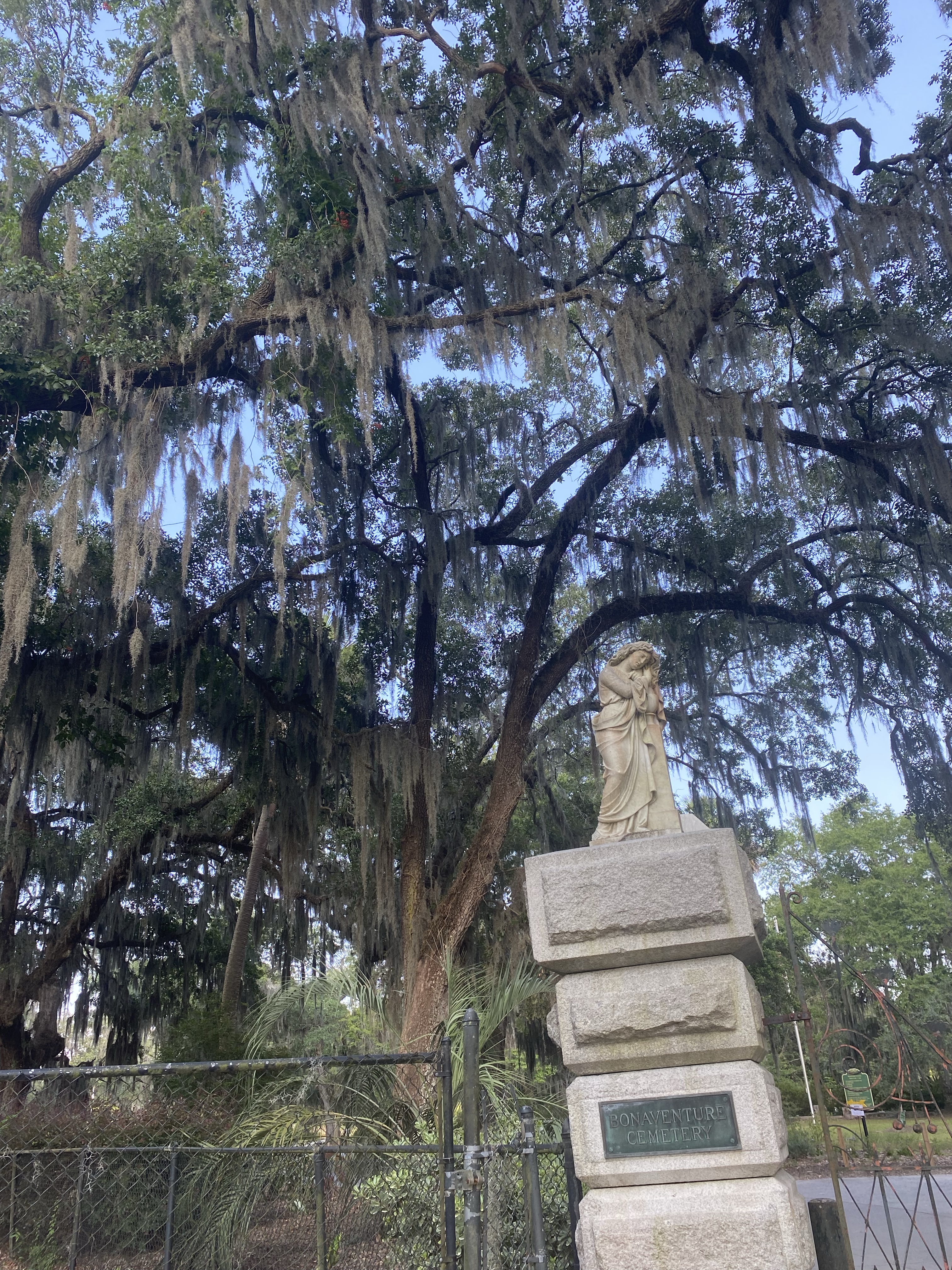 Bonaventure Cemetery Savannah, Georgia